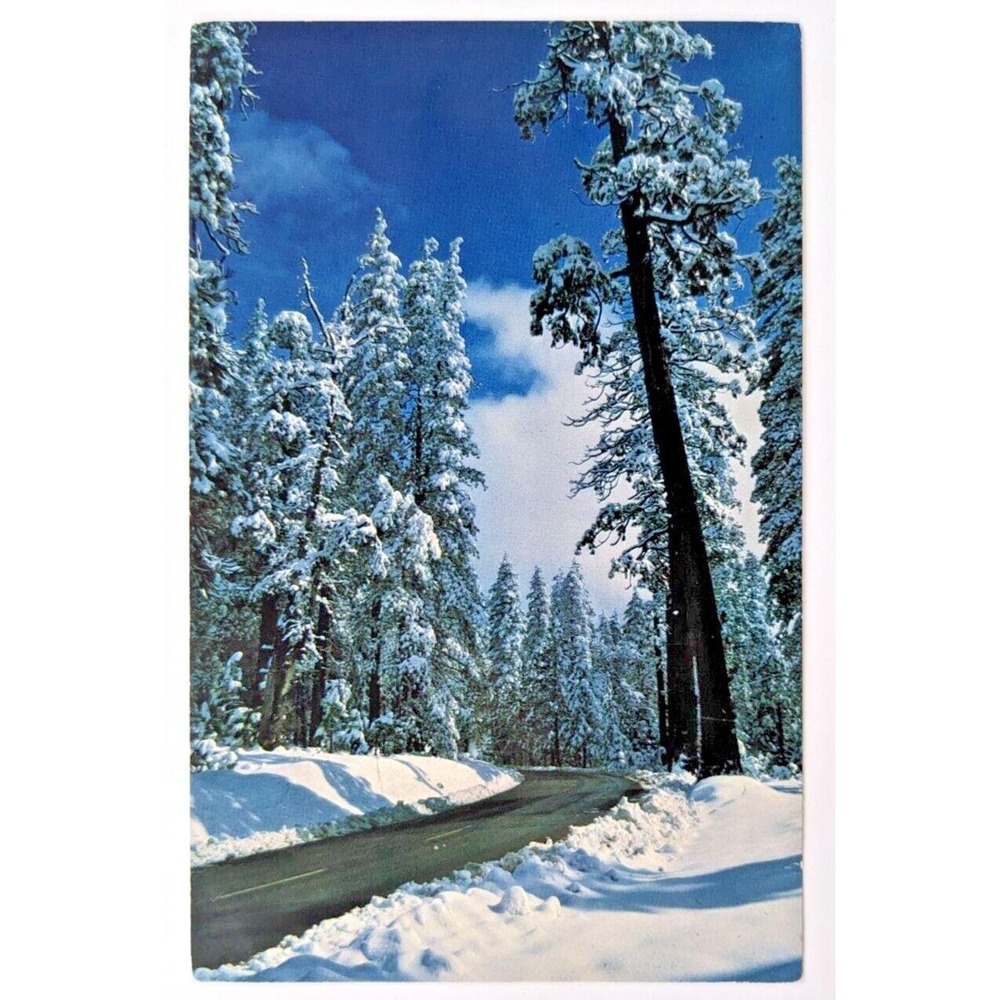 Snowy Ebbetts Pass Highway 4 near Tamarack, California Calaveras County Postcard